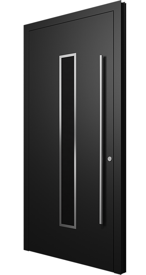 Minimalist Flush Entry Door